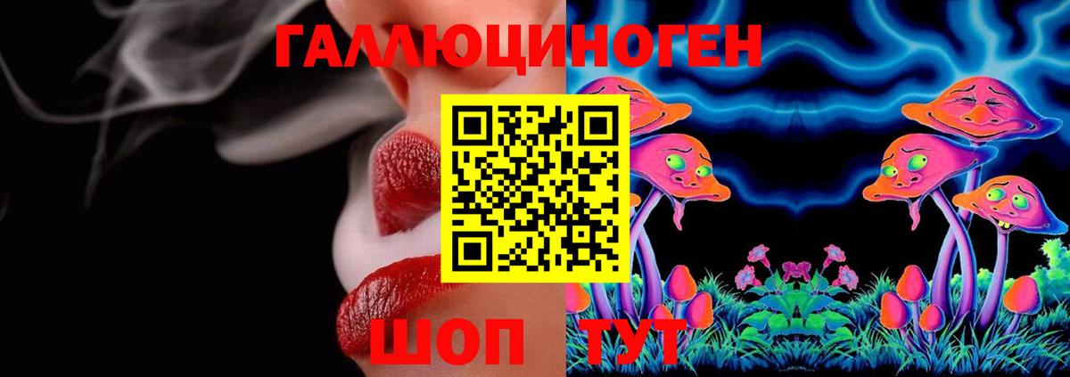 Псилоцибиновые грибы GOLDEN TEACHER  Вход с VPN  Кинель  Псилоцибиновые грибы Psilocybe 